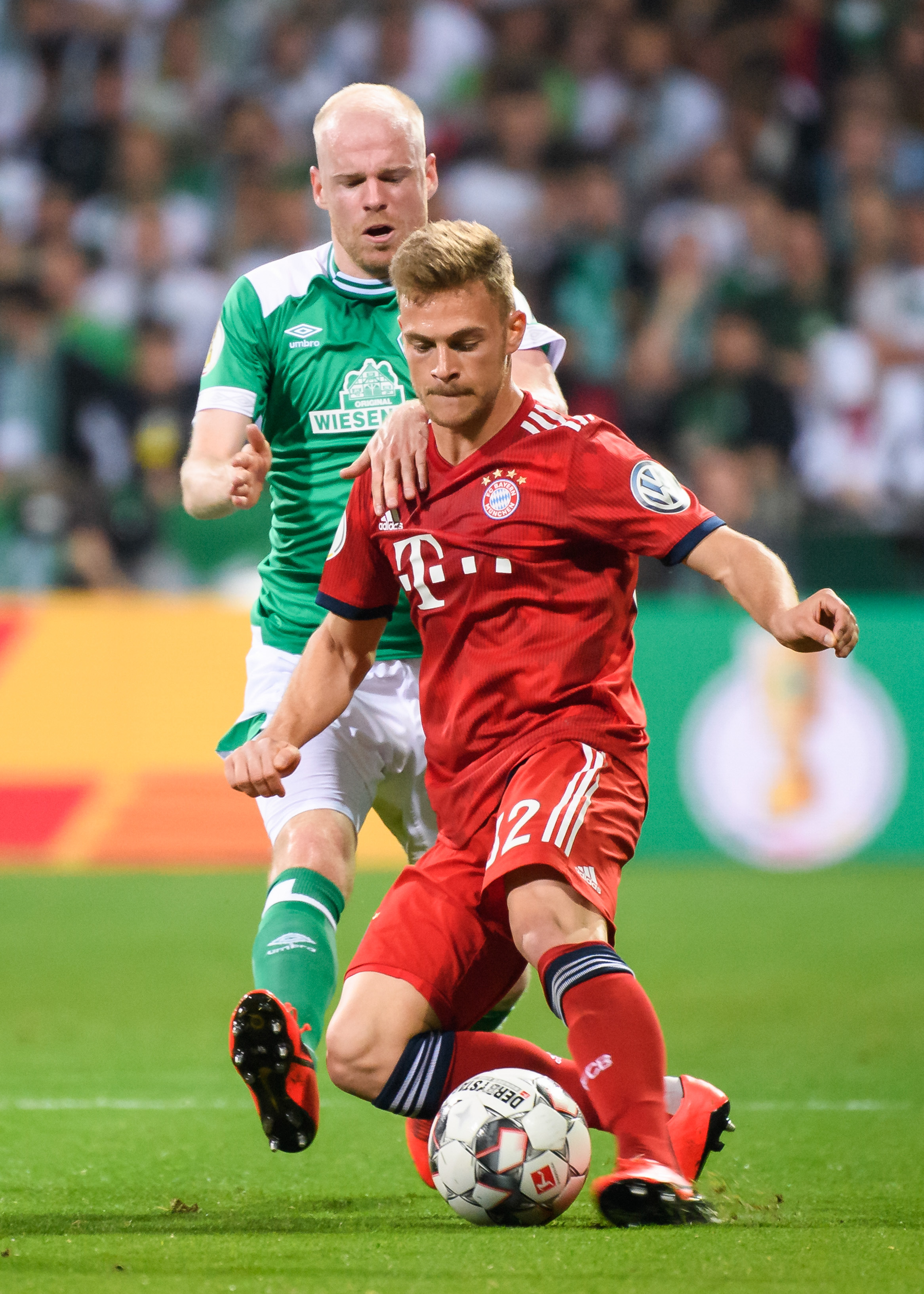 将在可持续 将在可持续