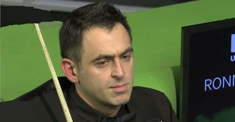 的多样性 的多样性